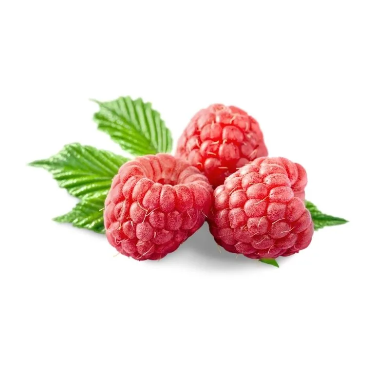 Raspberry – Frambuaz - Antalya Serik Berry Çiftliği