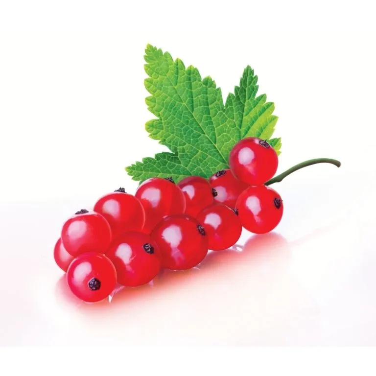  Red Currant – Ribiz - Antalya Serik Berry Çiftliği