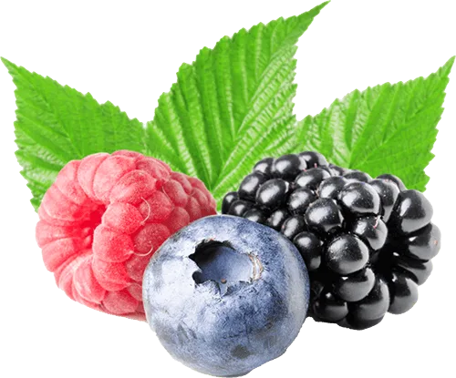 50 Tons of Blueberries